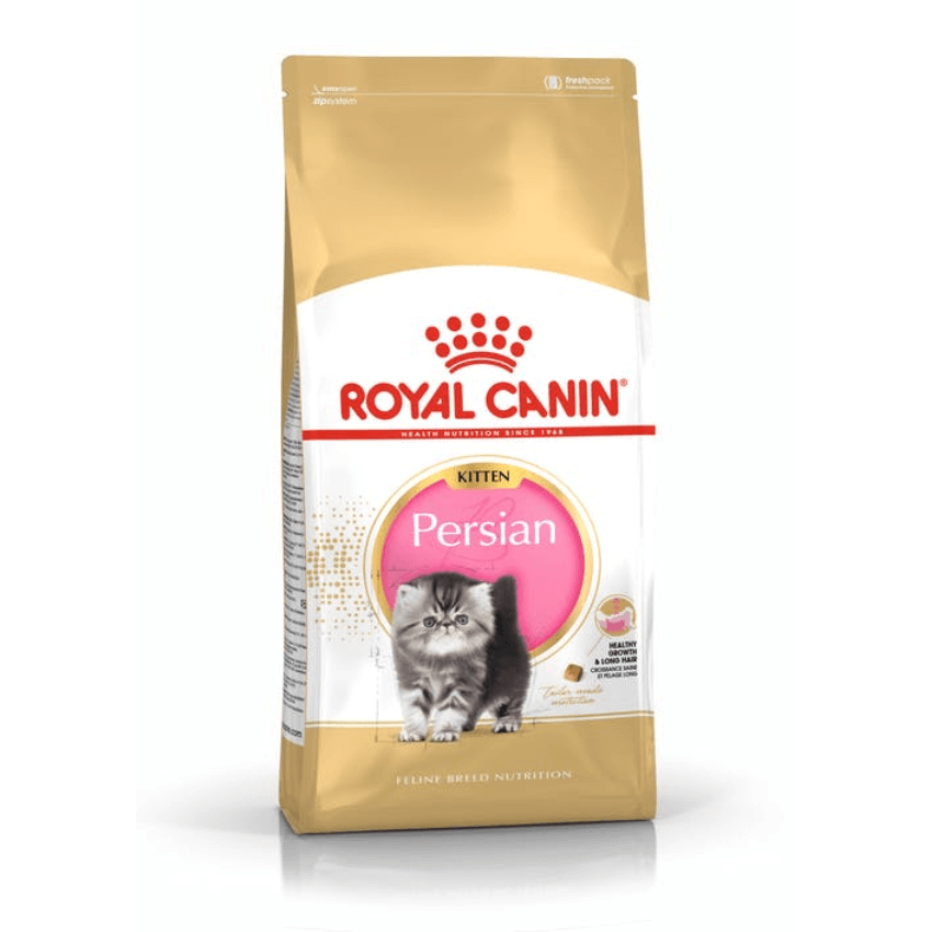 royal canin persian kitten cat food